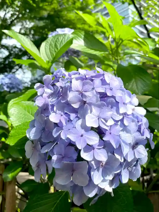 愛宕神社(東京都)