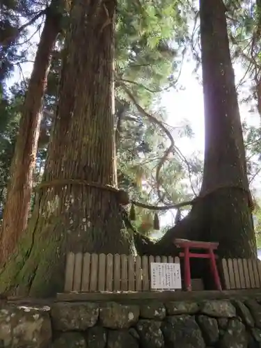 室生龍穴神社の自然