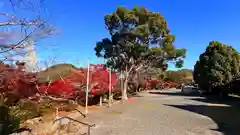 佐久奈度神社(滋賀県)