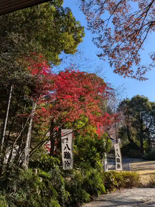 阿佐ヶ谷神明宮(東京都)