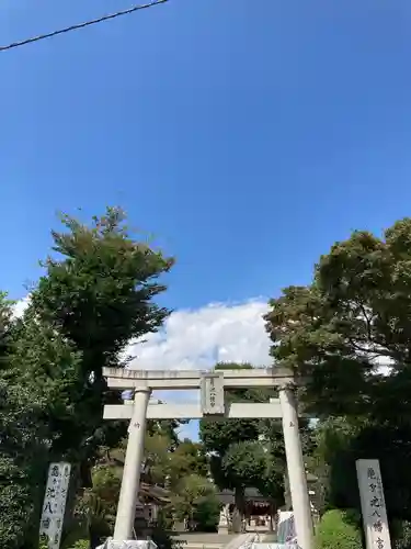 亀ケ池八幡宮の鳥居