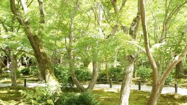 圓光寺(京都府)