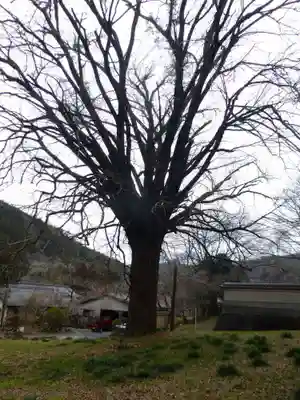 明楽寺(山口県)