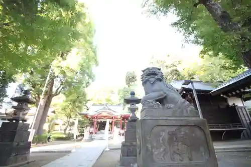 中野氷川神社の狛犬