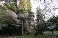 磐椅神社の自然