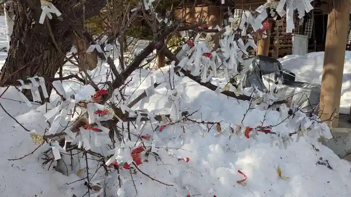 平岸天満宮・太平山三吉神社(北海道)