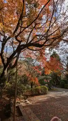 龍安寺(京都府)
