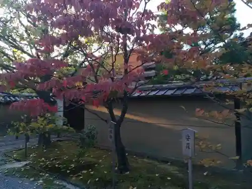 大徳寺のその他建物