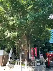 海南神社(神奈川県)