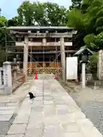 大鳥美波比神社(大鳥大社境内摂社)の動物