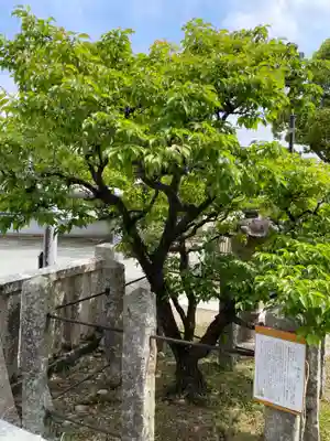 三田天満宮(兵庫県)