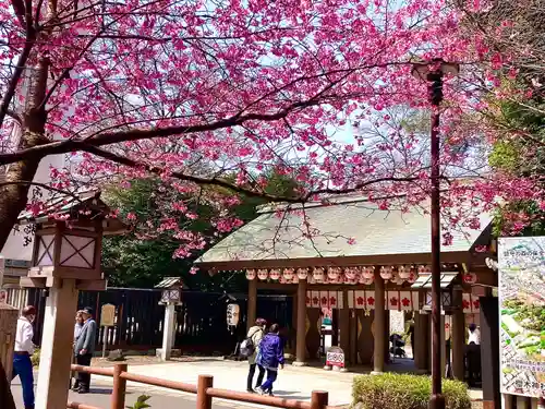 櫻木神社(千葉県)