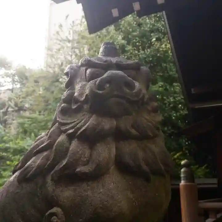 蔵前神社の狛犬