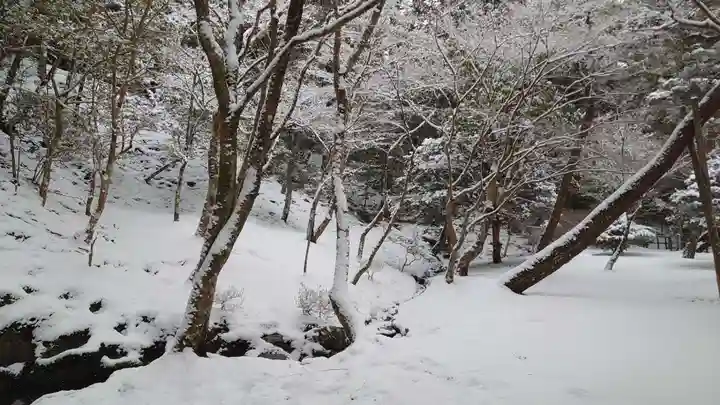 慈照寺(慈照禅寺・銀閣寺)(京都府)