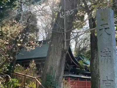 谷保天満宮のその他建物