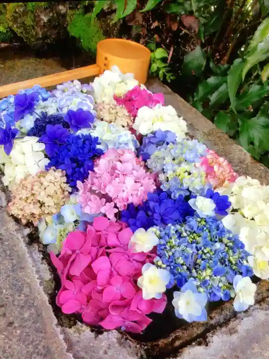 本郷氷川神社(東京都)