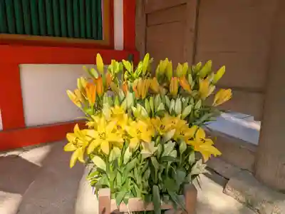 石上神宮(奈良県)