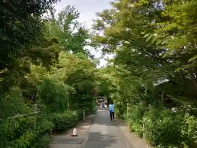梨木神社(京都府)