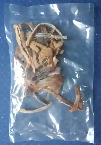 亀田龍神社(北海道)