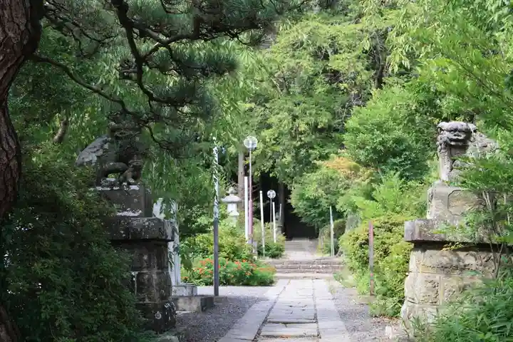 豊景神社の狛犬