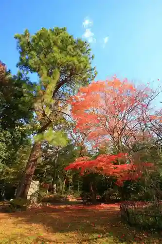 青葉神社の自然