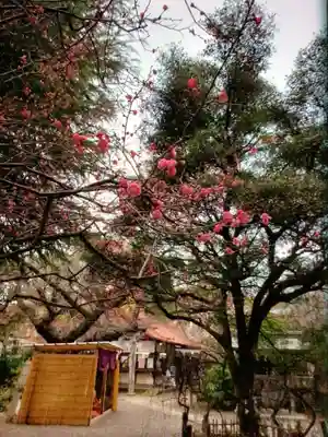 牛天神北野神社(東京都)