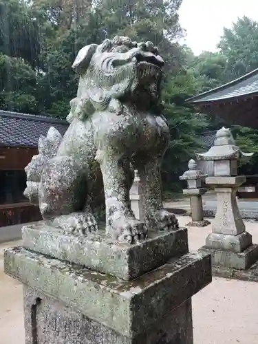 春日神社の狛犬