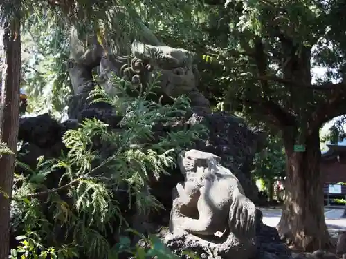 御霊神社の自然