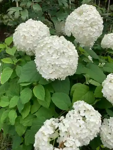 建長寺(神奈川県)