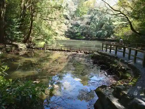 伊勢神宮内宮（皇大神宮）の自然