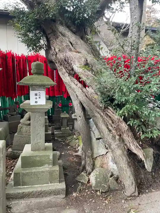 咤枳尼天堂 (出世稲荷)の{uncategorized: "未分類", other: "その他", undefined: "問題あり", building: "その他建物", grave: "お墓", sacred_gate: "鳥居", guardian: "狛犬", statue: "像", buddha: "仏像", history: "歴史", nature: "自然", garden: "庭園", animal: "動物", pagoda: "塔", temizu: "手水舎", mountain_gate: "山門・神門", sanctuary: "本殿・本堂", subordinate: "末社・摂社", art: "芸術", scenery: "景色", jizo: "地蔵", ema: "絵馬", goshuin: "御朱印", omikuji: "おみくじ", items: "授与品その他", amulet: "お守り", goshuincho: "御朱印帳", eats: "食事", festival: "お祭り", votive_dance: "神楽", shichigosan: "七五三参", wedding: "結婚式", experience: "体験その他", initially: "初詣", around: "周辺", anti_infection: "感染症対策"}