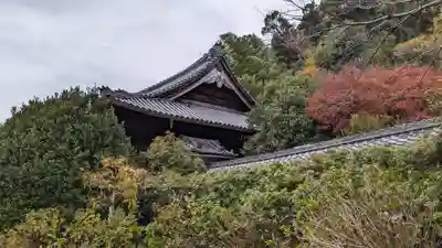 観音寺（山崎聖天）(京都府)