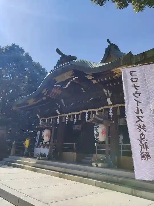 大宮八幡宮の本殿・本堂