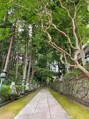 寳光寺　鹿野大佛のその他建物