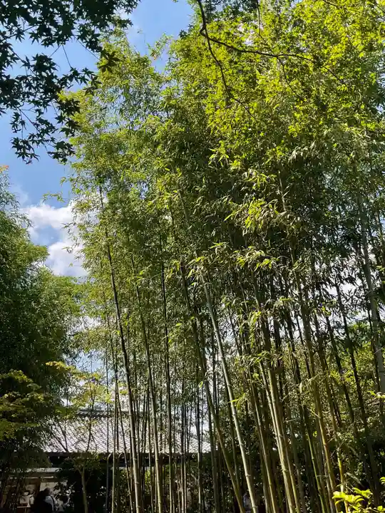 慈照寺(慈照禅寺・銀閣寺)(京都府)