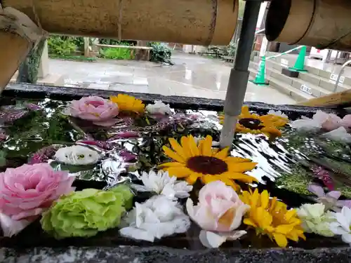 鳩森八幡神社の手水舎