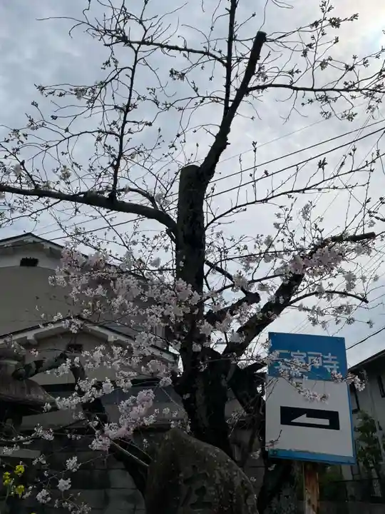 三室戸寺(京都府)