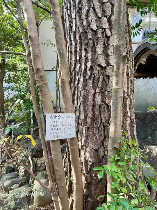 愛宕神社(大稲荷神社摂社)(神奈川県)