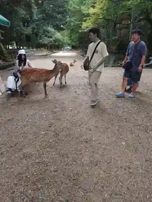 春日大社(奈良県)