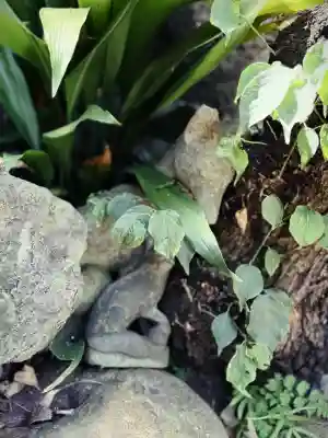 幸稲荷神社(東京都)