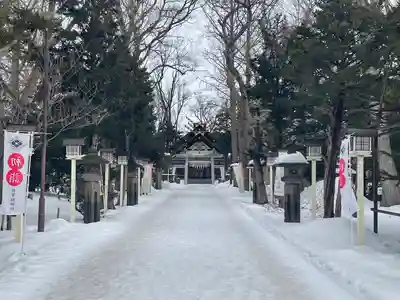 新琴似神社の初詣