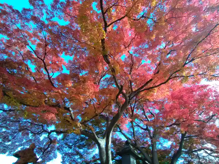 阿弥陀寺(福島県)