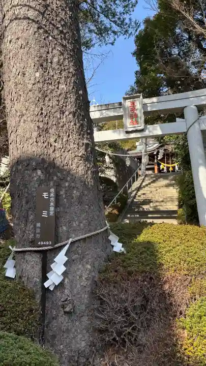 長津田王子神社の{uncategorized: "未分類", other: "その他", undefined: "問題あり", building: "その他建物", grave: "お墓", sacred_gate: "鳥居", guardian: "狛犬", statue: "像", buddha: "仏像", history: "歴史", nature: "自然", garden: "庭園", animal: "動物", pagoda: "塔", temizu: "手水舎", mountain_gate: "山門・神門", sanctuary: "本殿・本堂", subordinate: "末社・摂社", art: "芸術", scenery: "景色", jizo: "地蔵", ema: "絵馬", goshuin: "御朱印", omikuji: "おみくじ", items: "授与品その他", amulet: "お守り", goshuincho: "御朱印帳", eats: "食事", festival: "お祭り", votive_dance: "神楽", shichigosan: "七五三参", wedding: "結婚式", experience: "体験その他", initially: "初詣", around: "周辺", anti_infection: "感染症対策"}