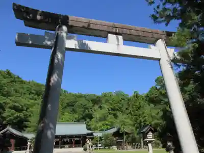 山梨縣護國神社の鳥居