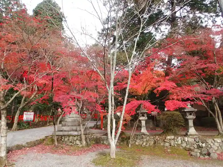 大原野神社の自然