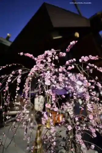 東京大神宮(東京都)
