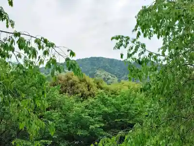  久延彦神社の{uncategorized: "未分類", other: "その他", undefined: "問題あり", building: "その他建物", grave: "お墓", sacred_gate: "鳥居", guardian: "狛犬", statue: "像", buddha: "仏像", history: "歴史", nature: "自然", garden: "庭園", animal: "動物", pagoda: "塔", temizu: "手水舎", mountain_gate: "山門・神門", sanctuary: "本殿・本堂", subordinate: "末社・摂社", art: "芸術", scenery: "景色", jizo: "地蔵", ema: "絵馬", goshuin: "御朱印", omikuji: "おみくじ", items: "授与品その他", amulet: "お守り", goshuincho: "御朱印帳", eats: "食事", festival: "お祭り", votive_dance: "神楽", shichigosan: "七五三参", wedding: "結婚式", experience: "体験その他", initially: "初詣", around: "周辺", anti_infection: "感染症対策"}