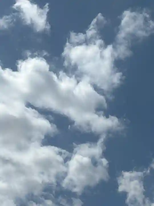 滝野川八幡神社(東京都)