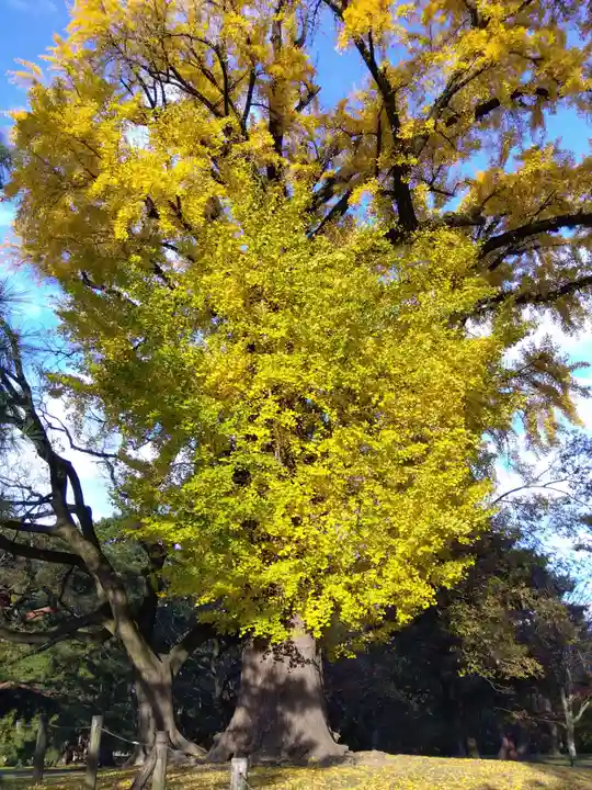 白雲神社(京都府)
