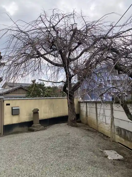 法傳寺(神奈川県)